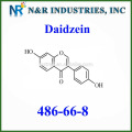 Bulk Daidzein Fornecimento 98% HPLC Daidzein Pó CAS No486-66-8